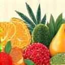 Fresh, colorful fruits and vegetables arranged artfully, symbolizing healthy eating.