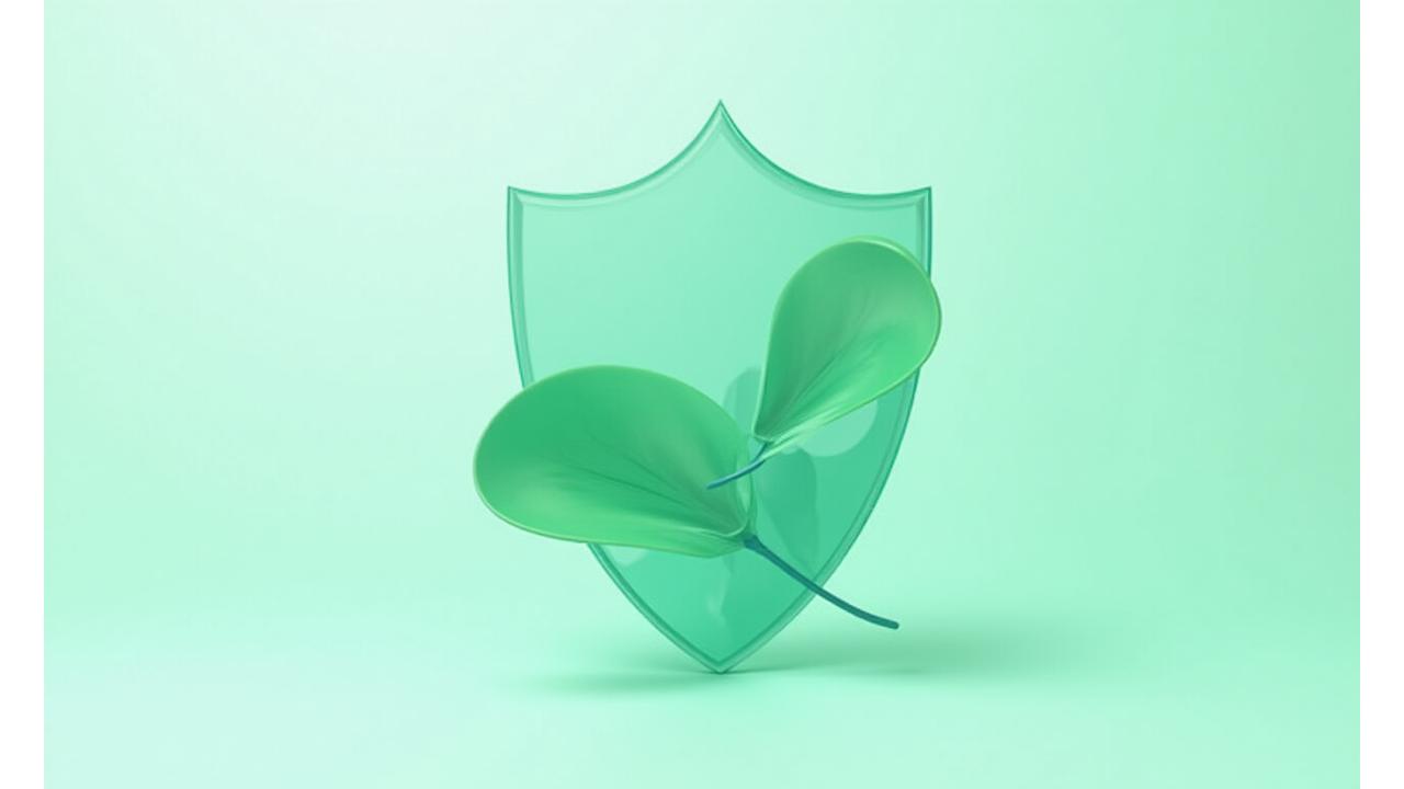 Abstract shield intertwined with a gentle green leaf, symbolizing data protection and wellness, rendered with soft, organic shapes.
